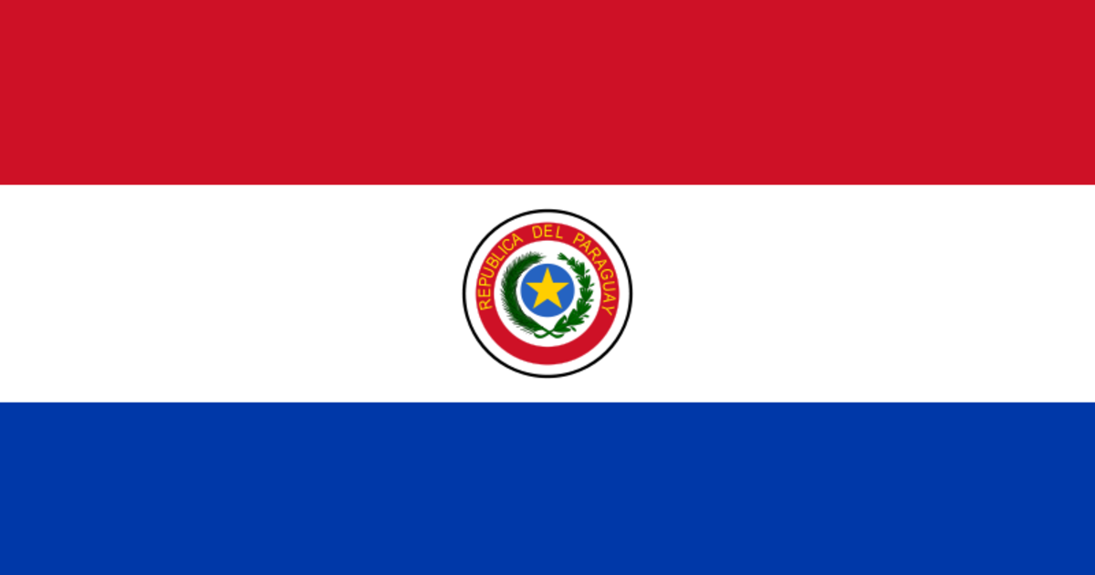 Uitpakken Tegen de wil erger maken De vlag van Paraguay