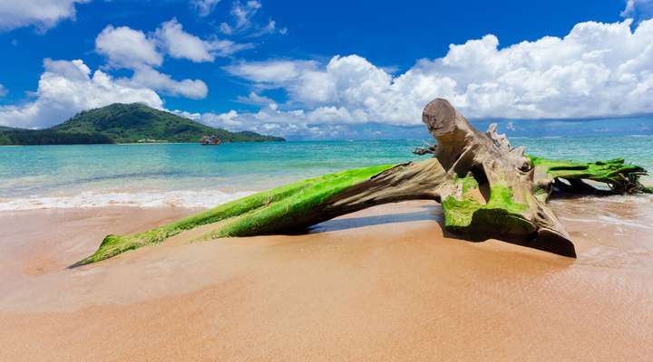 Stranden Phuket