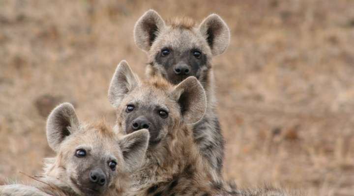 Khaudum Game Reserve