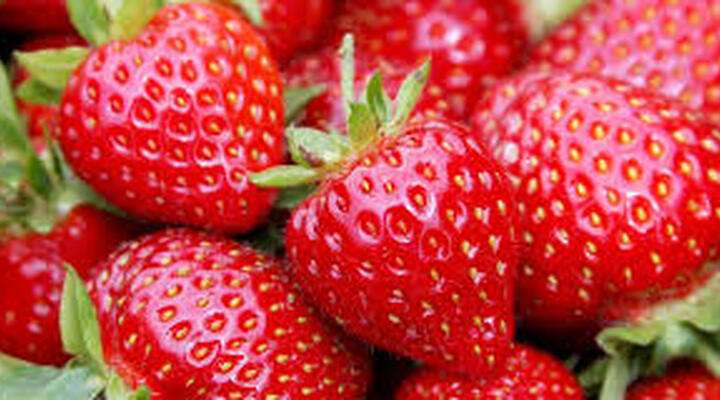Strawberry Farm
