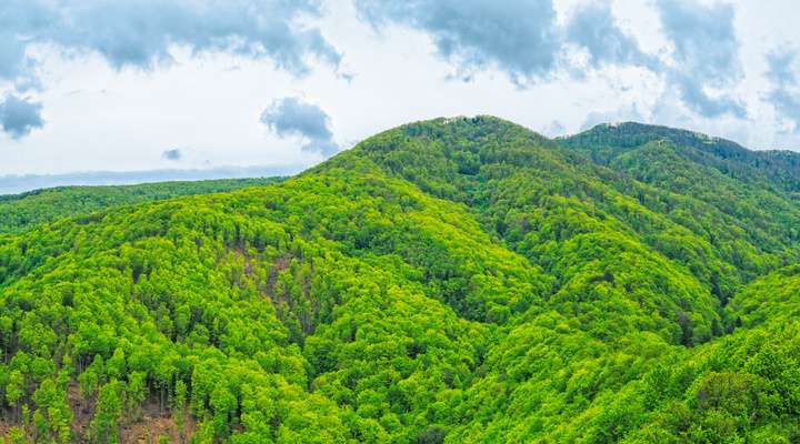 Medvednica