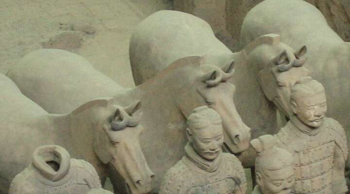 Terracottaleger