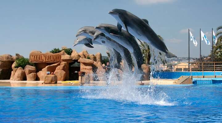 Marineland