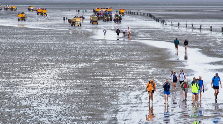 Nationale Park Hamburgisches Wattenmeer