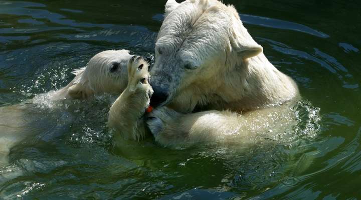 Zoo Rostock