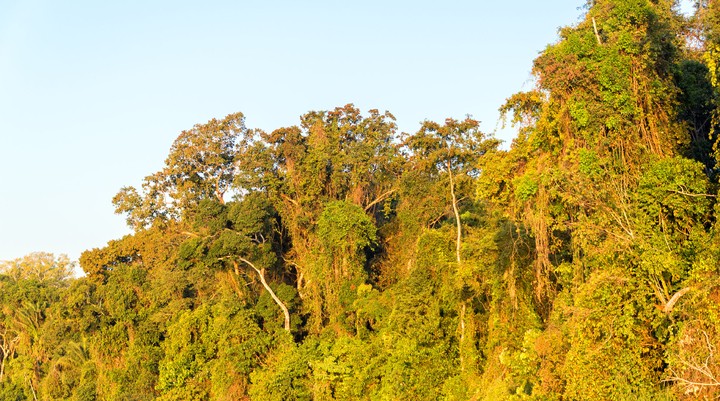 Puerto Barador