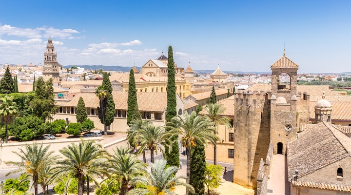 Alcazar de los Reyes Católicos