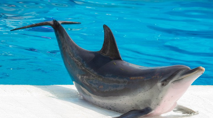 Underwater World