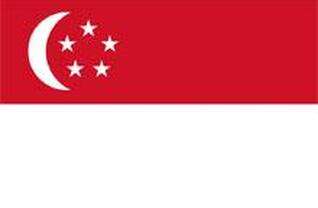Vlag Singapore