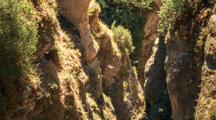 Puente Viejo