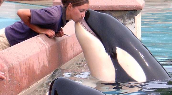 Marineland of Canada Inc