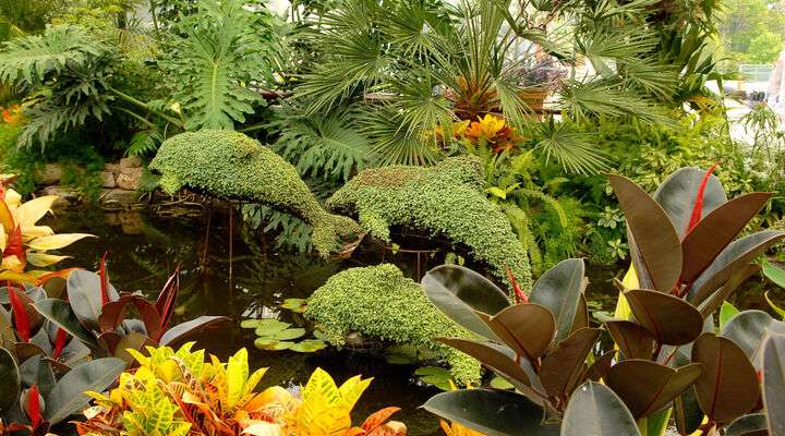 Plantasia