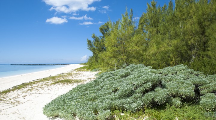 Lucayan National Park