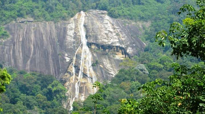 Gnunung Stong State Park
