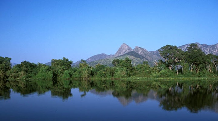 Natuurgebied Pantanal