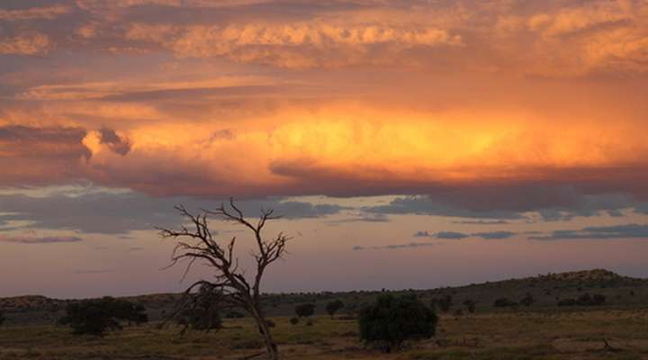 Central Kalahari Game Reserve