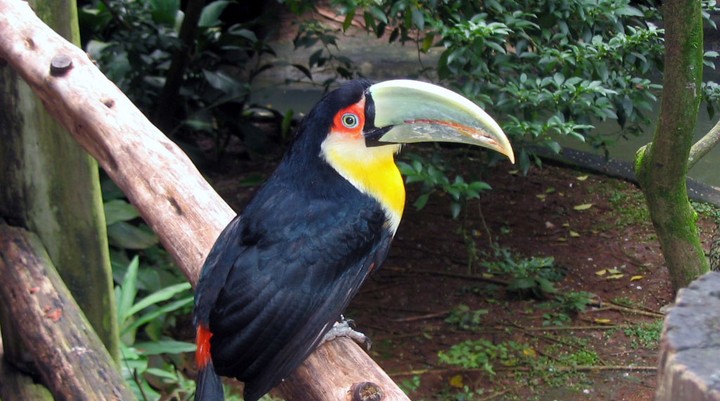 Montecristo-El Trifinio National Park