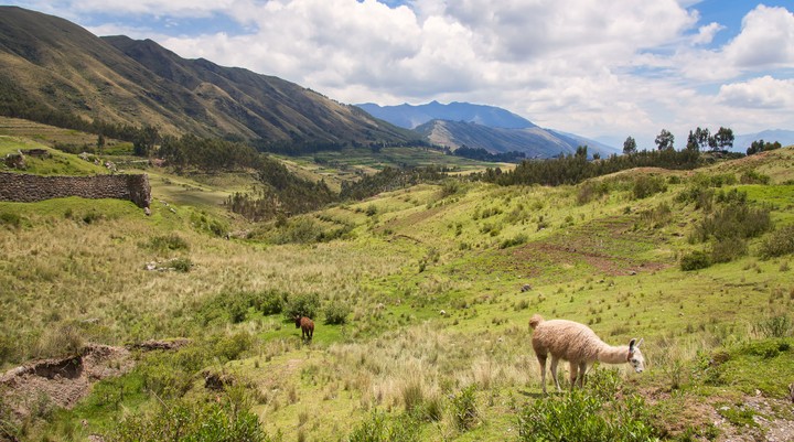 National Park Cusuco
