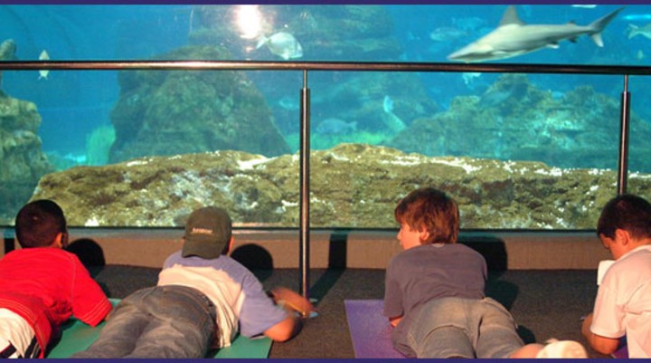 L'Aquàrium