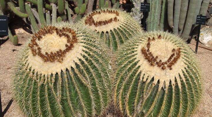 Jardíns de Cap Roig