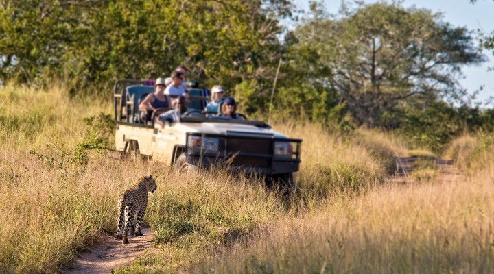 Op safari in Zimbabwe