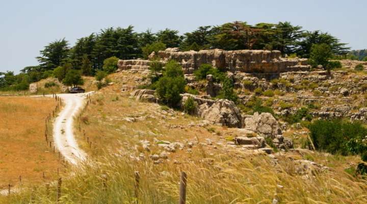 Tannourine Nature Reserve