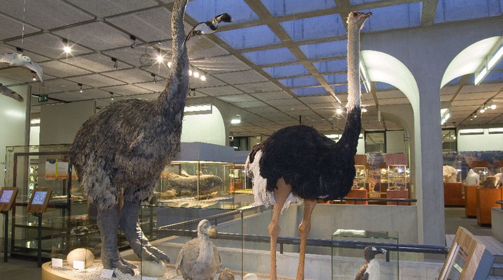 Parc Botanique et Zoölogique de Tsimbazaza