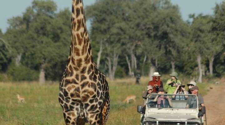 Lilongwe Wildlife Centre