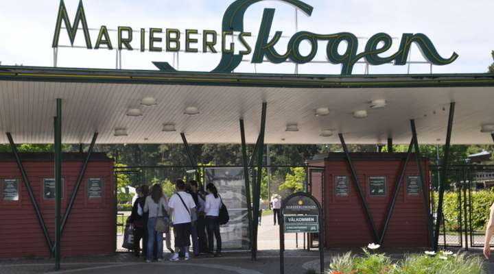Mariebergsskogen