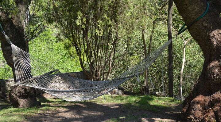 Hangmat in natuur Paraguay