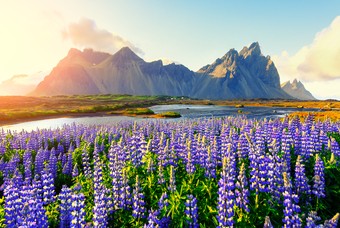 Beste reistijd IJsland: vliegtijd & beste maand