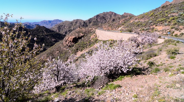 The Big Valley in Gran Canaria