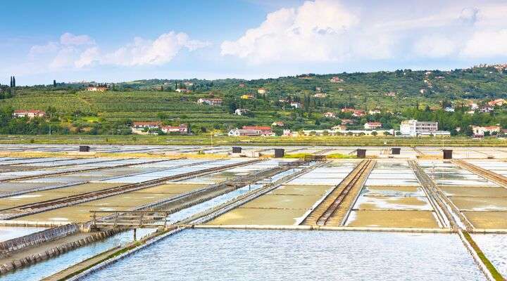 Secovlje Salina Nature Park