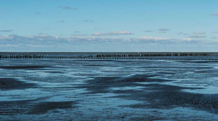 Wadlopen