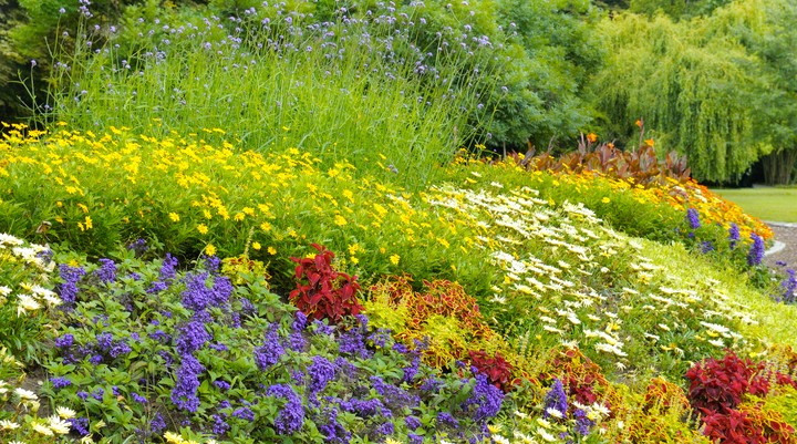 Akureyri Botanical Gardens