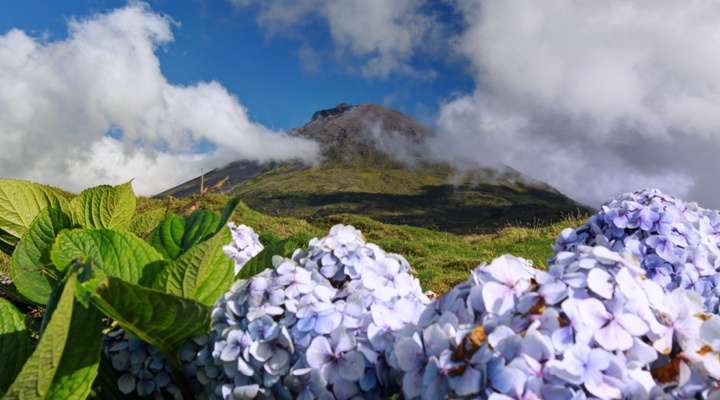 Ponta do Pico (Pico)