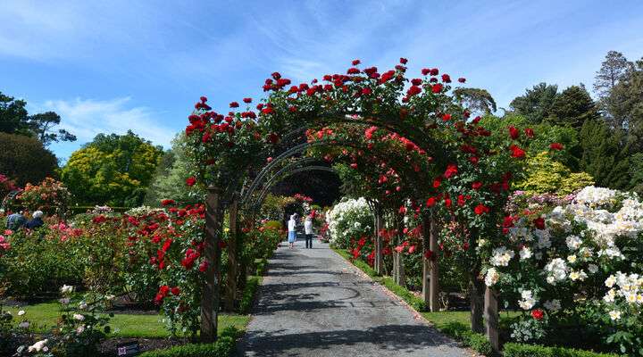 Christchurch Botanic Gardens