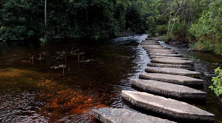 Natuurpark Cachamay