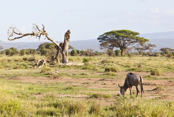 Mooiste plekken Kenia