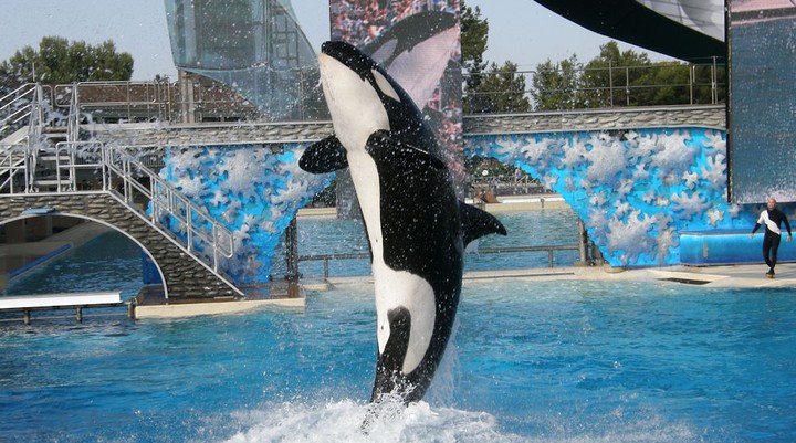 SeaWorld Orlando