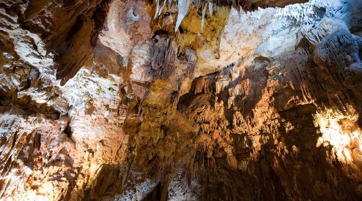 Baredine Jama-Grotta