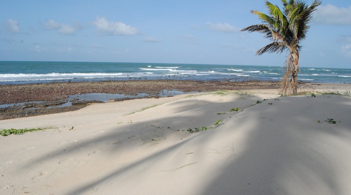 Stranden van Zuid-Afrika