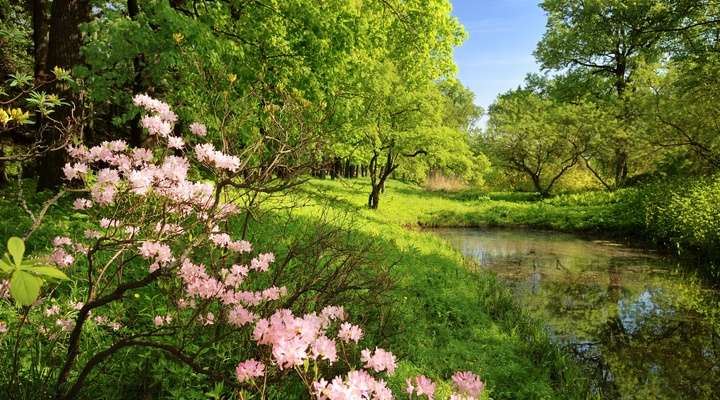 Botanische tuin