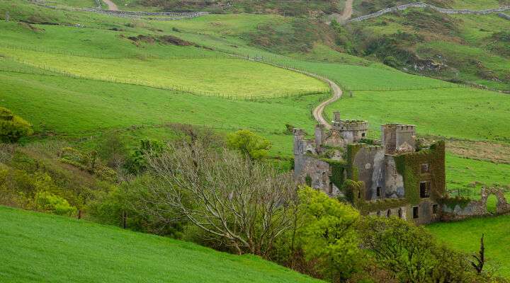 Clifden Castle