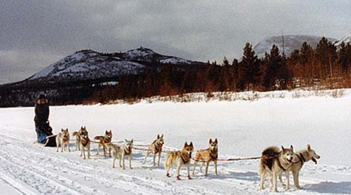 Wintersport in Lapland