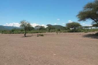 Asante Sana Tanzania!