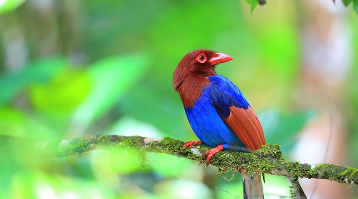 Colombo Zoo