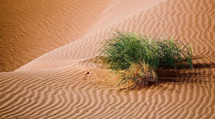 Kavir Nationaal Park