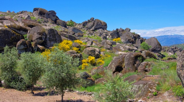 Serra da Estrela