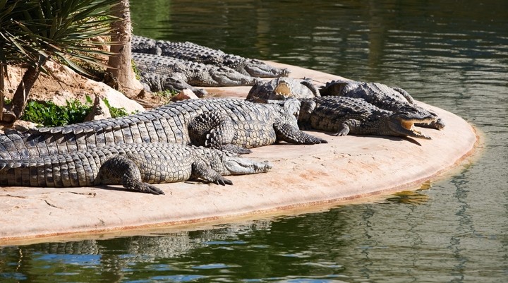 Djerba Explore Park